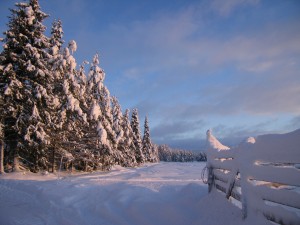 Inverno in Lapponia